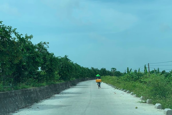 Quảng Yên (Quảng Ninh): Đồng bộ giải pháp ứng phó biến đổi khí hậu