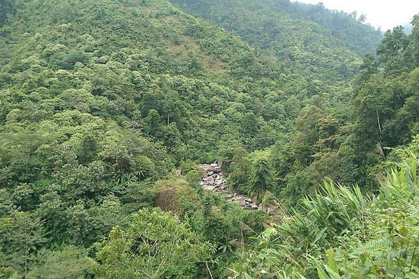 Chi trả DVMTR động lực thúc đẩy công tác quản lý bảo vệ rừng ở Lai Châu