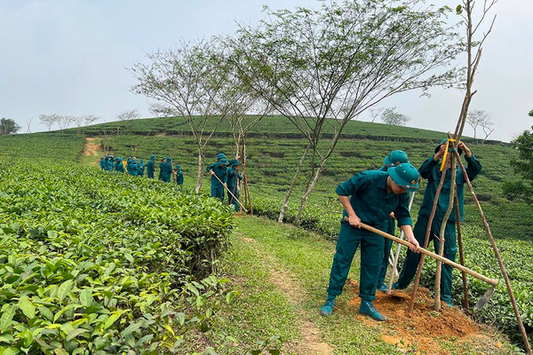 Phù Ninh - Phú Thọ: Trồng cây xanh xây dựng nông thôn sạch đẹp