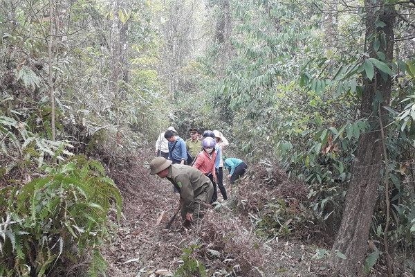 Sơn La: Kiểm tra công tác quản lý, bảo vệ rừng, PCCCR