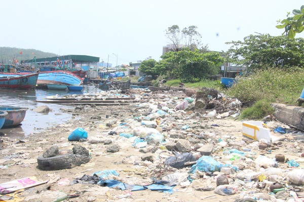 Quảng Ngãi: “Báo động đỏ” ô nhiễm tại cảng cá Sa Huỳnh