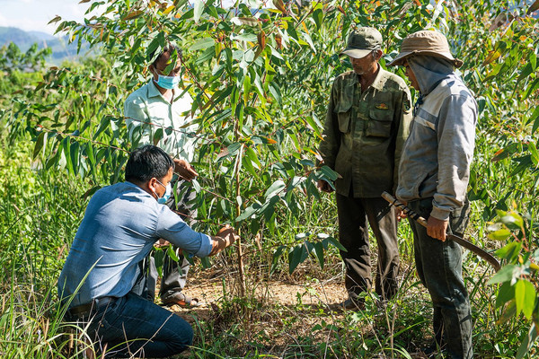 Huyện Nam Giang (Quảng Nam): Hiệu quả từ cộng đồng chung tay bảo vệ rừng