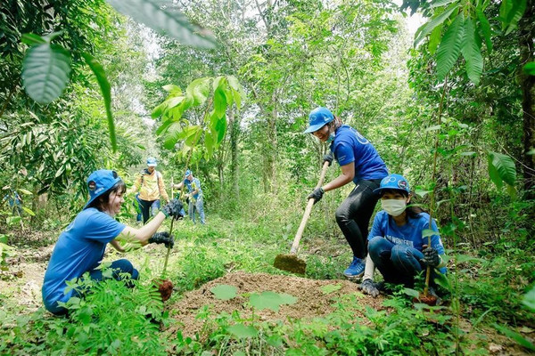 Khôi phục môi trường rừng, phát triển tín dụng xanh