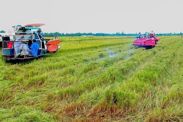 Thích ứng biến đổi khí hậu để giảm nghèo bền vững