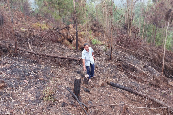 Nghi Sơn (Thanh Hóa): Kiểm điểm Hạt Kiểm lâm, Ban quản lý rừng phòng hộ để xảy ra cháy rừng