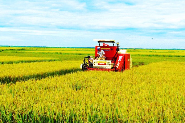 Lào Cai phát triển nông nghiệp thích ứng biến đổi khí hậu