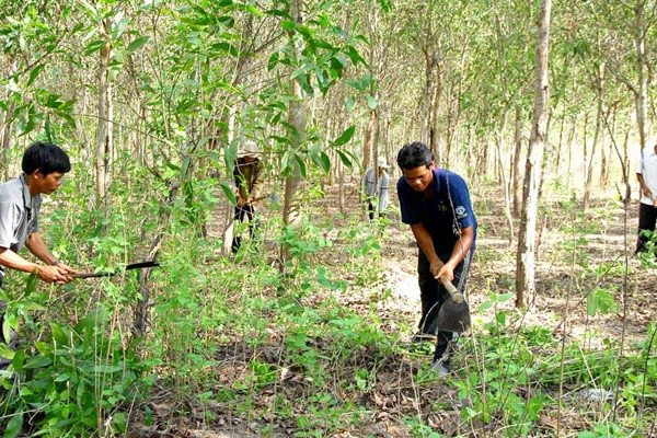 Nho Quan (Ninh Bình): Dấu ấn giao đất, giao rừng cho đồng bào dân tộc