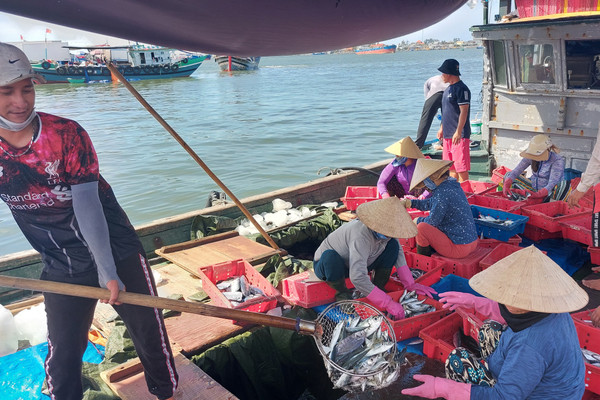 Ngư dân Thừa Thiên – Huế vươn khơi bám biển