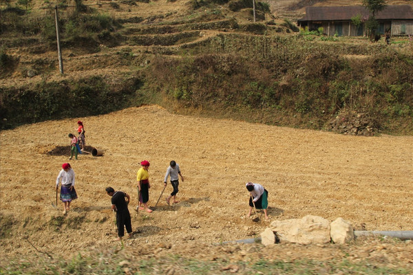 Tây Nguyên: Còn 30 nghìn hộ dân thiếu đất ở, đất sản xuất