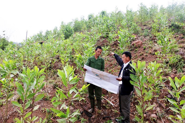 Quảng Bình: Đổi thay nhờ được giao đất giao rừng