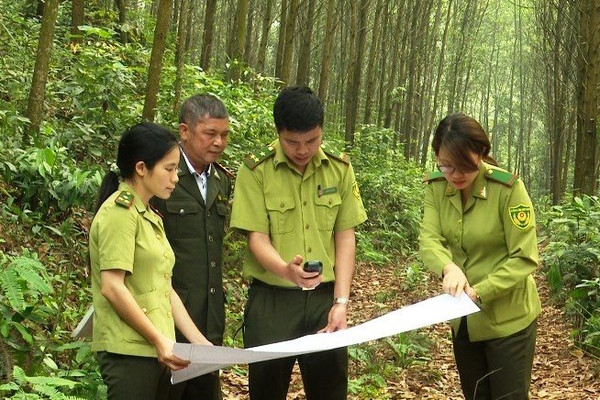 Gia Nghĩa tăng cường bảo vệ rừng phát triển rừng bền vững