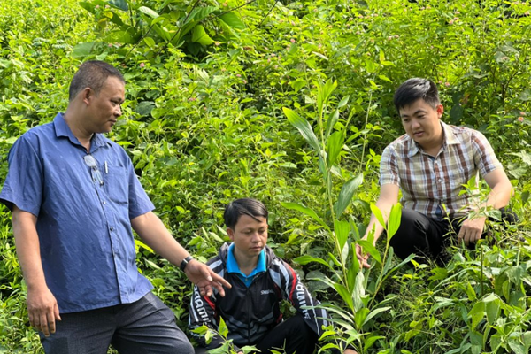 Quảng Nam: Khai thác thế mạnh từ rừng giúp người dân thoát nghèo