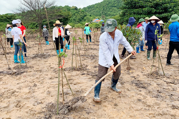 Quảng Ninh: Bảo vệ hệ sinh thái biển tạo sinh kế bền vững