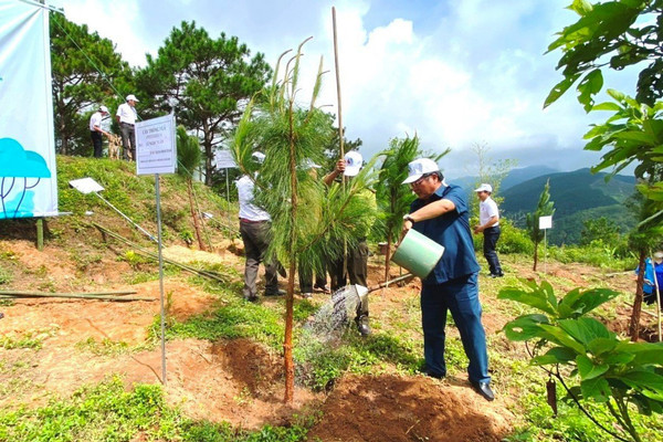 Từ nguồn tiền dịch vụ môi trường rừng: Kon Tum trồng hàng trăm nghìn cây xanh