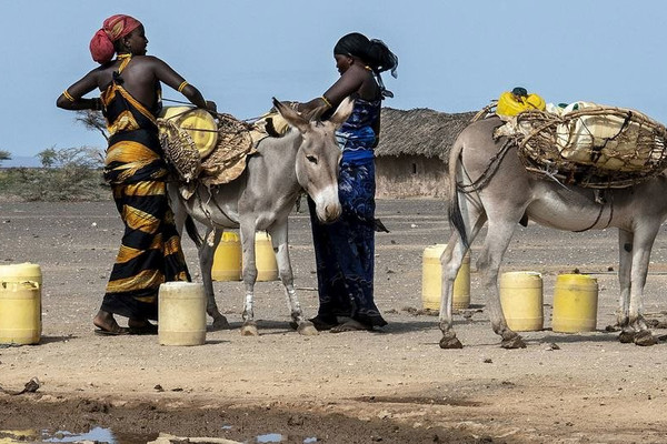 Quan tâm về khí hậu vùng Sừng châu Phi: Chìa khóa đối với an ninh lương thực