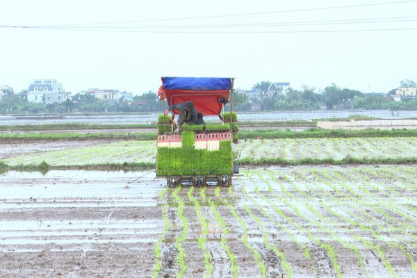 Canh tác lúa theo hướng giảm chi phí, giảm phát thải khí nhà kính ở Đồng bằng sông Hồng
