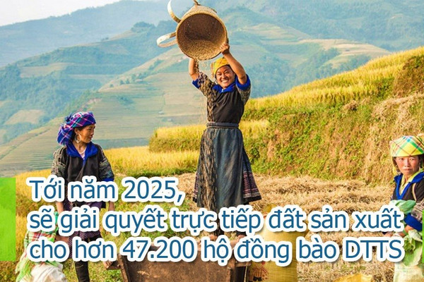 Infographic: Tới năm 2025 sẽ giải quyết trực tiếp đất sản xuất cho hơn 47.200 hộ đồng bào dân tộc thiểu số