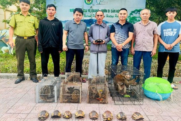 Vườn quốc gia Vũ Quang tiếp nhận nhiều động vật hoang dã quý hiếm