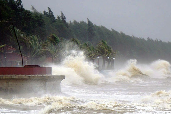Ứng phó với bão số 1: Các tỉnh ven biển từ Quảng Ninh đến Ninh Bình dự kiến sơ tán gần 30.000 người