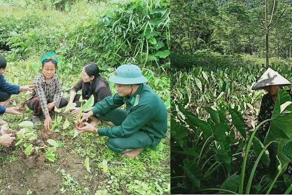 Huyện Quế Phong (Nghệ An): Nỗ lực giảm nghèo ở xã vùng biên Nậm Giải