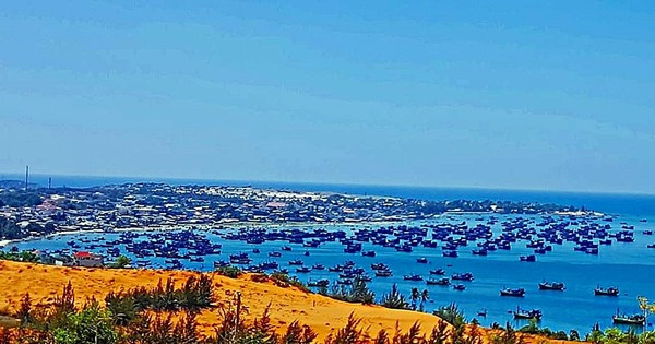 Bí thư Tỉnh uỷ Bình Thuận: Không có chuyện đồng ý xây dựng cảng cá ở vịnh Mũi Né