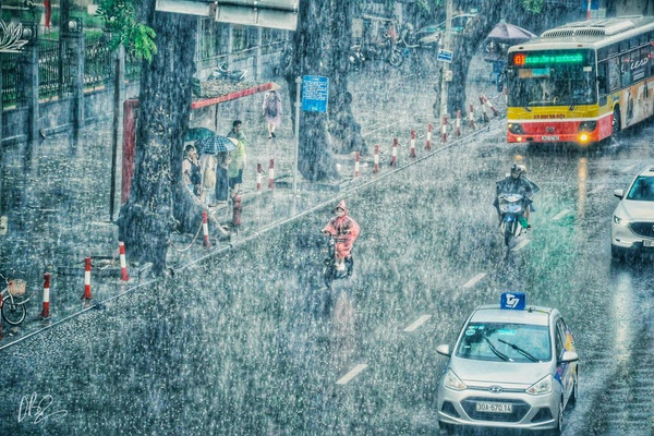 Thời tiết ngày 6/8/2023: Mưa lớn ở khu vực Bắc Bộ và Thanh Hóa