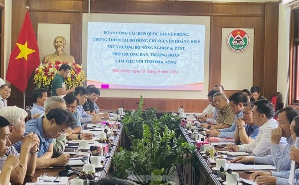 Vấn đề sạt lở tại Đắk Nông: Chuyên gia PCTT “hiến kế” tìm giải pháp