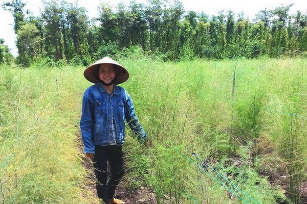 Bình Thuận: Tăng khả năng chống chịu BĐKH cho hộ nghèo