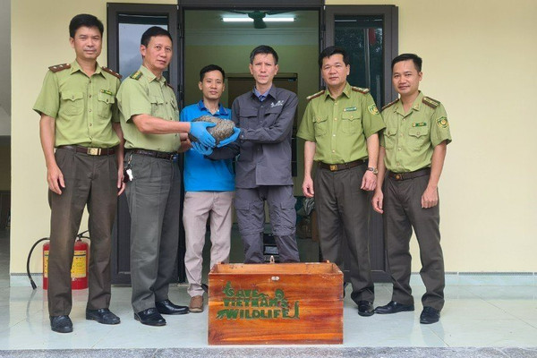 Vườn quốc gia Cúc Phương cứu hộ thành công 2 cá thể tê tê