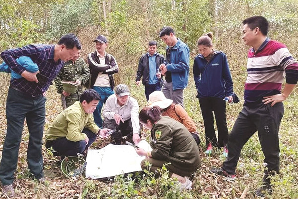 Điện Biên: “Giải bài toán” giao đất lâm nghiệp và giao rừng