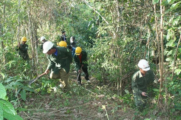 Lai Châu: Họp Hội đồng quản lý Quỹ Bảo vệ và Phát triển rừng