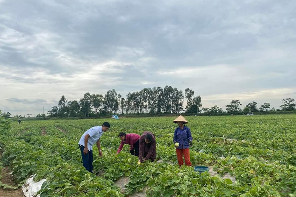 Quảng Ninh: Phát huy lợi thế đất đai, tạo sinh kế bền vững