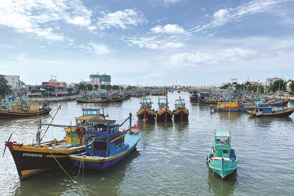 Bình Thuận phát triển hiệu quả kinh tế biển: Ưu tiên phát triển xanh, thân thiện môi trường