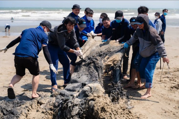 TBC-Ball chung tay dọn rác bãi biển vì tương lai bền vững