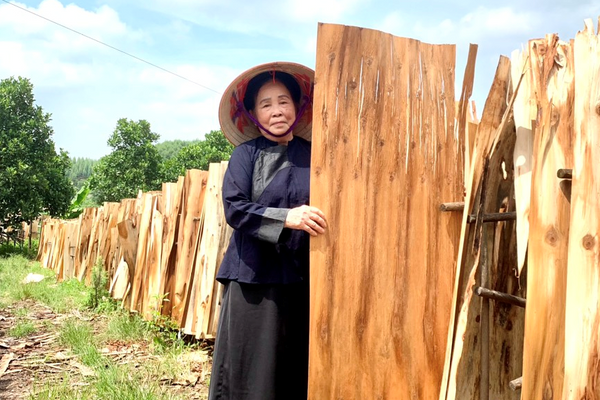 Huyện Yên Thế (Bắc Giang): Nâng cao chất lượng cuộc sống vùng dân tộc thiểu số