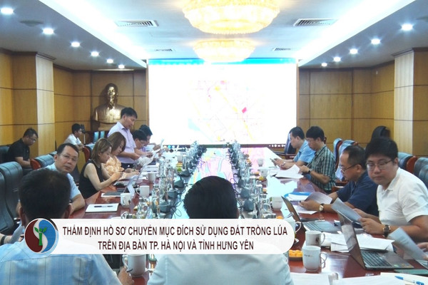 Thẩm định hồ sơ chuyển mục đích sử dụng đất trồng lúa trên địa bàn TP. Hà Nội và tỉnh Hưng Yên