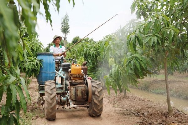 Nam Định: Chuyển đổi cơ cấu cây trồng theo hướng sạch, hiệu quả