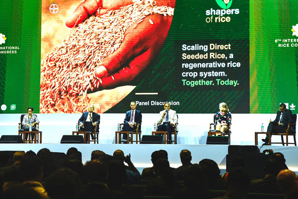 Ngành lúa gạo đối mặt với thách thức từ biến đổi khí hậu