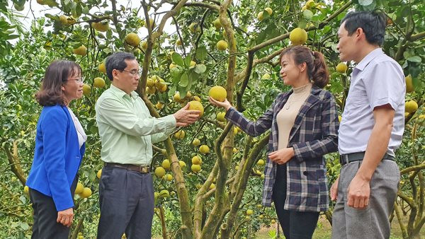 Tuyên Quang: Nâng giá trị nông sản, để giảm nghèo bền vững