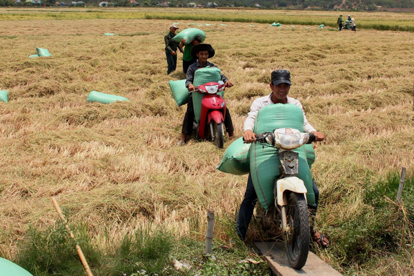 Lâm Đồng: Giúp người dân giảm nghèo bền vững