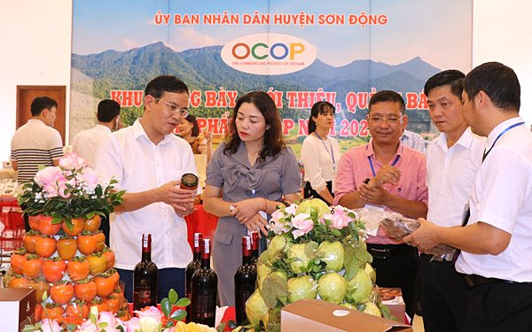 Sơn Động – Bắc Giang: Sản phẩm OCOP giúp nhiều người dân ổn định đời sống