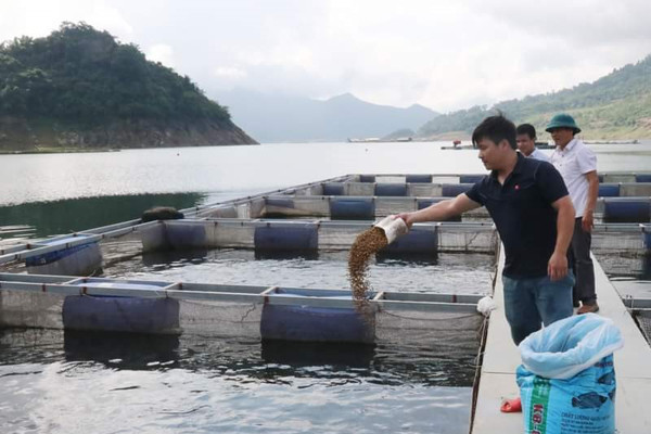 Hòa Bình: Phát triển nuôi trồng thủy sản hồ chứa theo hướng bền vững