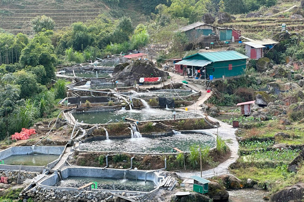 Sa Pa (Lào Cai): Giảm nghèo nhờ phát huy các mô hình nuôi trồng thuỷ sản