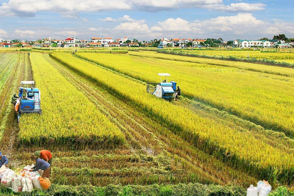 Thái Bình hướng tới trở thành trung tâm sản xuất nông nghiệp hàng đầu Vùng đồng bằng sông Hồng