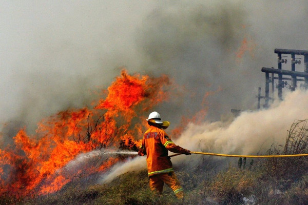 Lo ngại trước hàng loạt vụ cháy rừng thảm khốc
