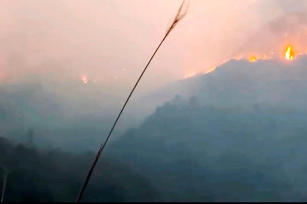 Lào Cai: Cháy tại rừng quốc gia Hoàng Liên