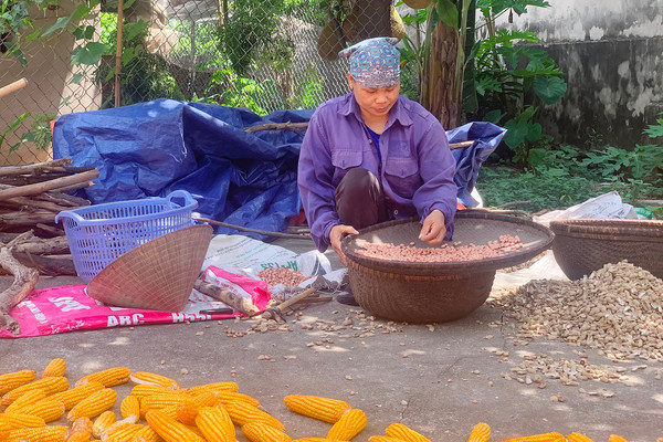 Quảng Ninh: Đưa nước sạch đến bà con vùng cao
