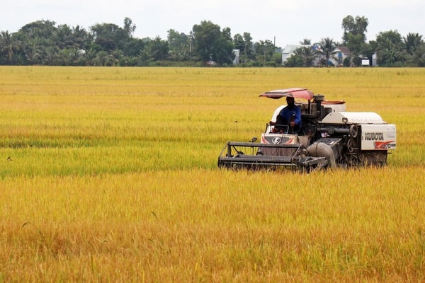 Huyện Lắk không còn nghèo nữa...