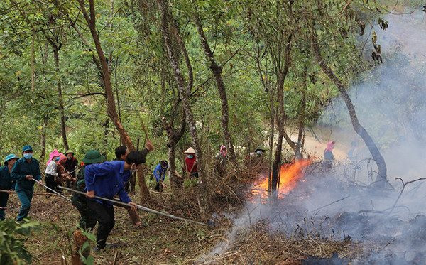 Lai Châu tăng cường các biện pháp phòng cháy chữa cháy rừng