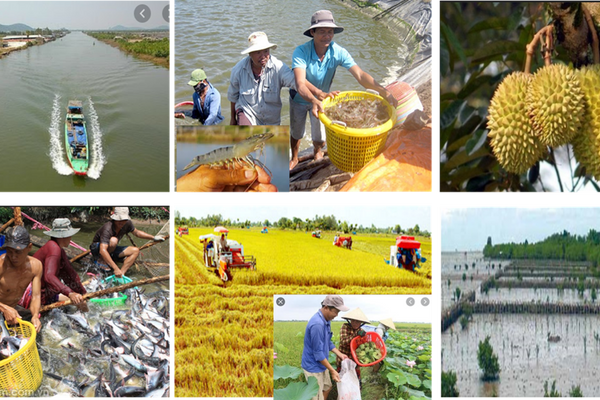 Nông nghiệp thuận thiên ở Đồng bằng sông Cửu Long: Cần nhiều nguồn lực